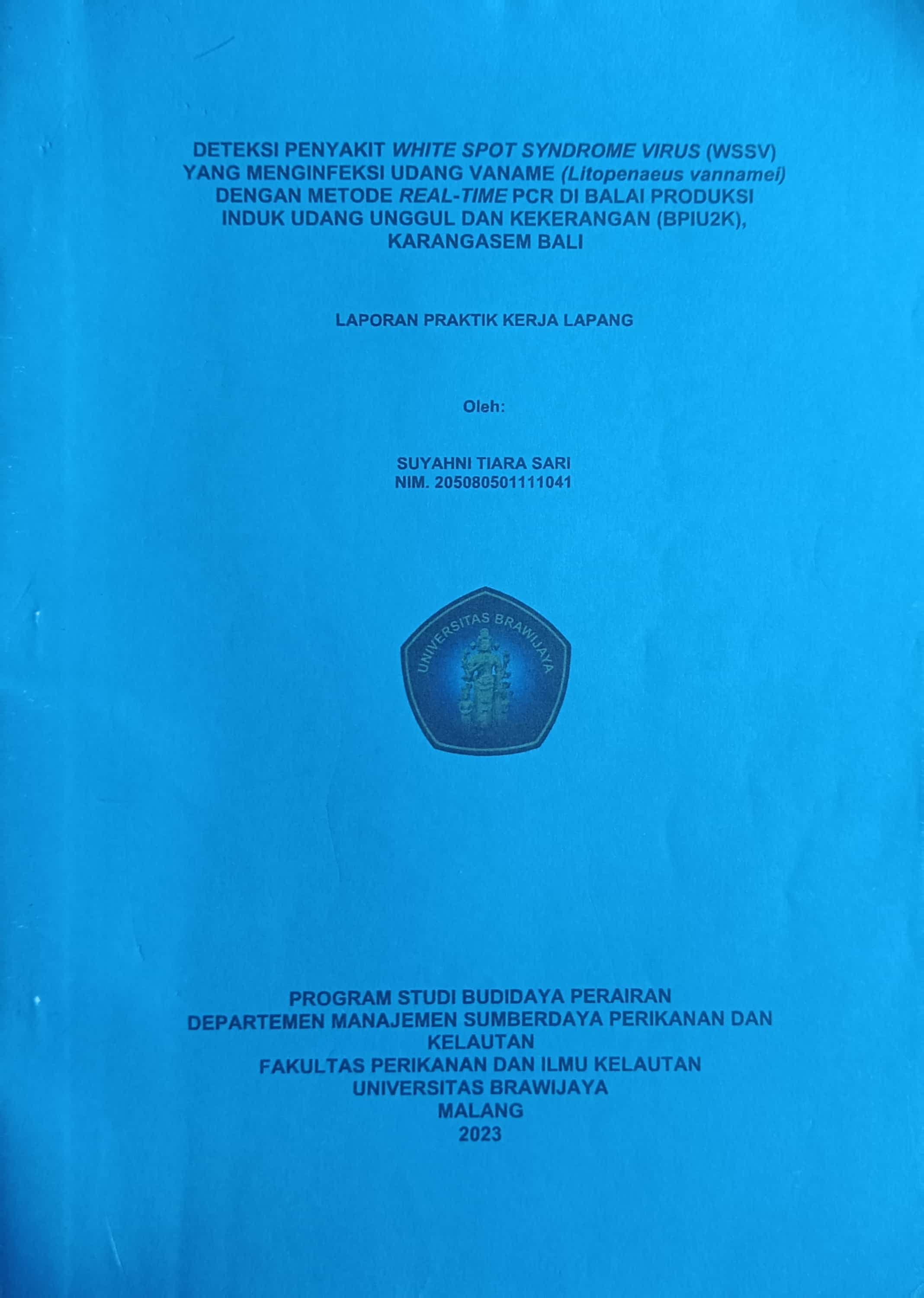 20240712050357_SUYAHNI.jpg