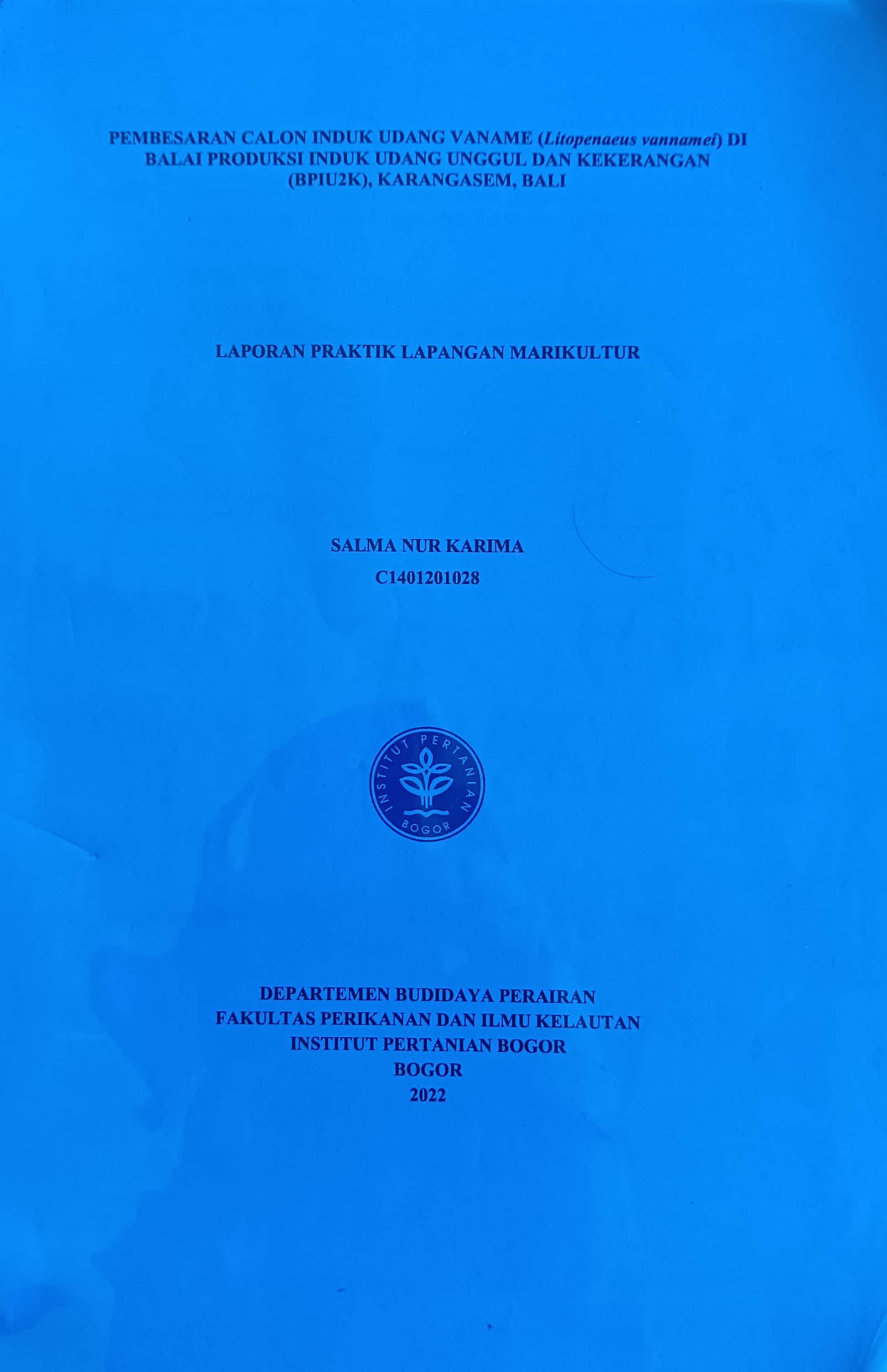 20240712072424_SALMA.jpg