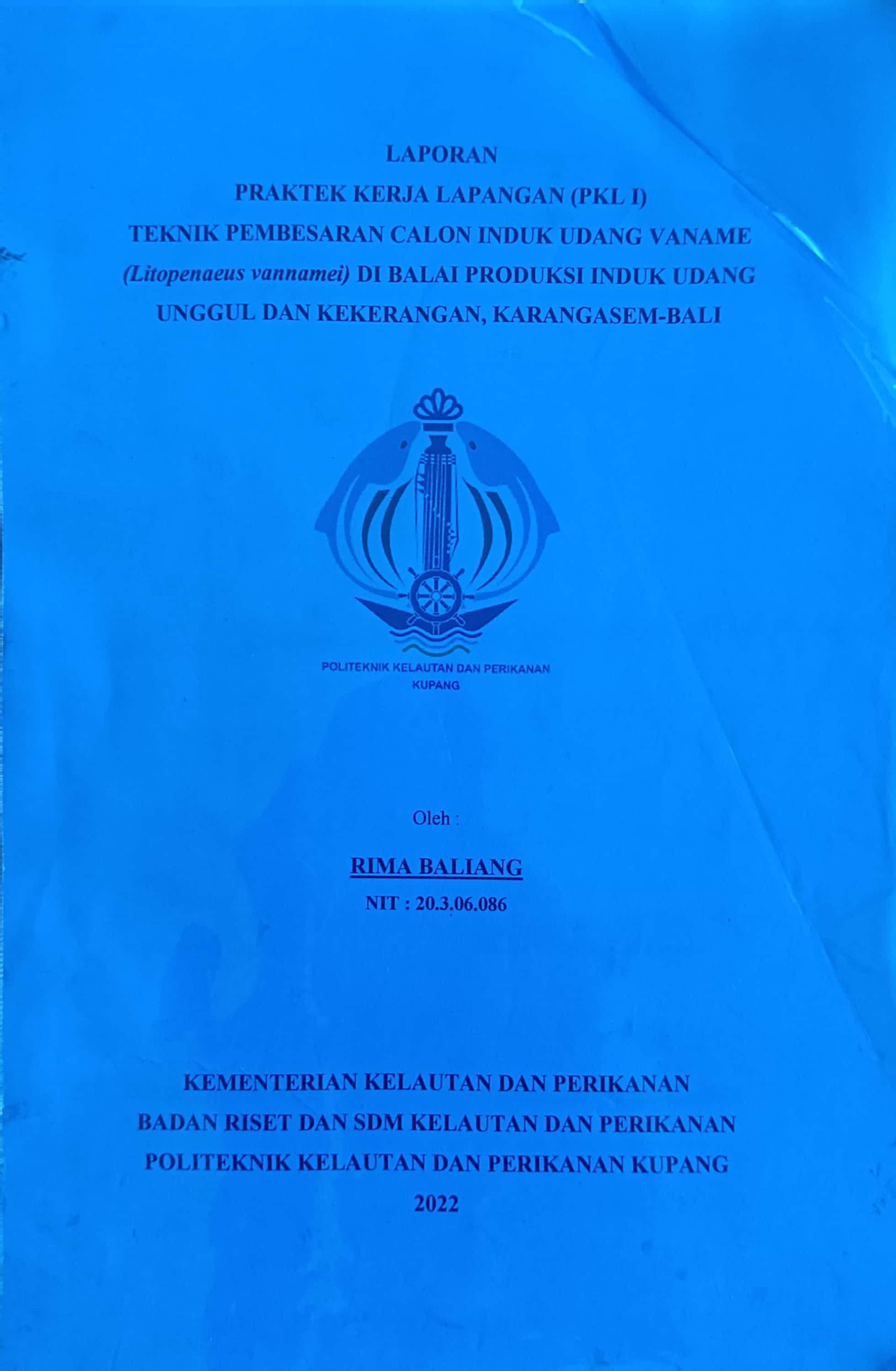 20240712074917_RIMA.jpg