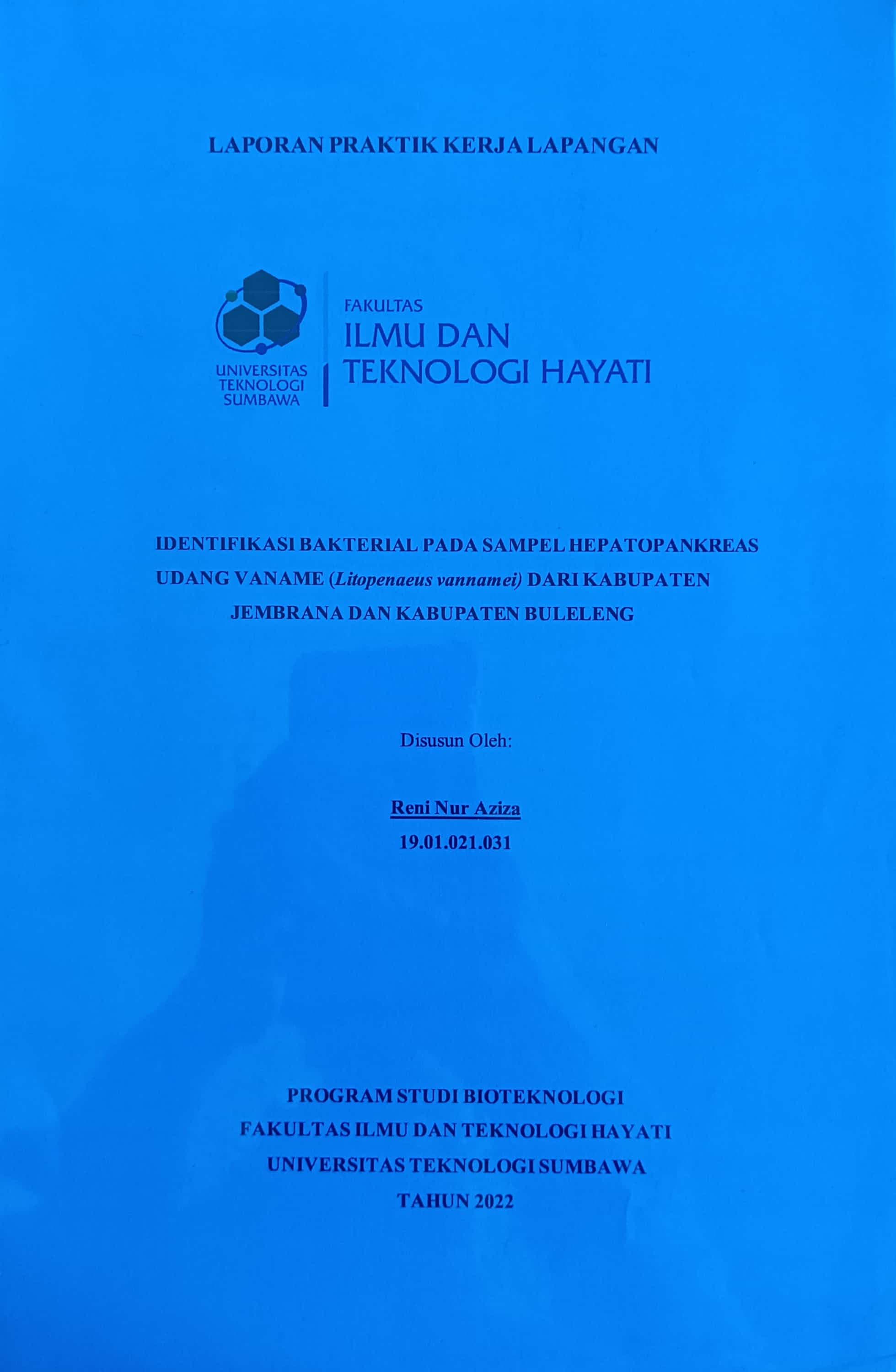20240712080523_RENI.jpg