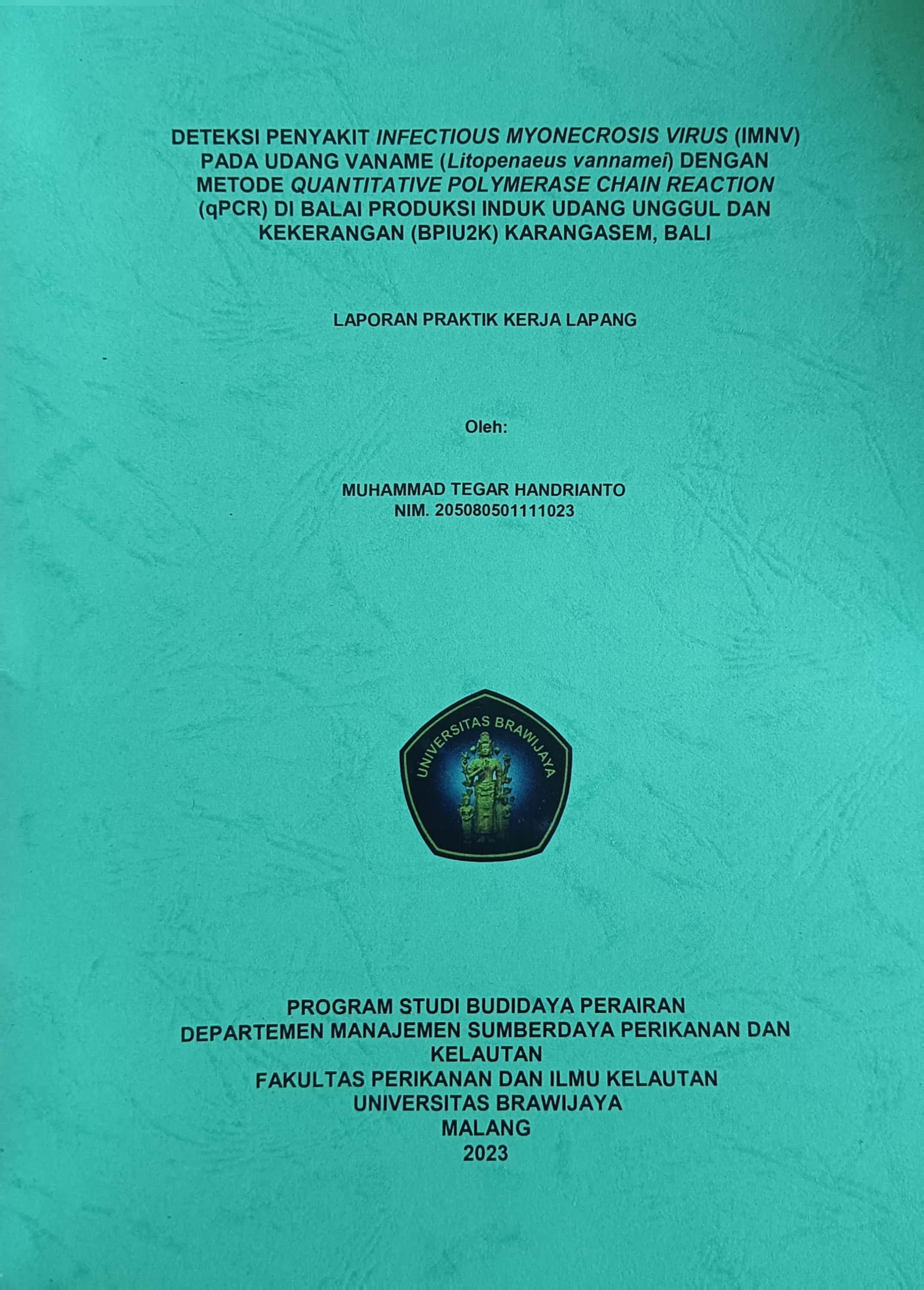 20240712084324_TEGAR.jpg