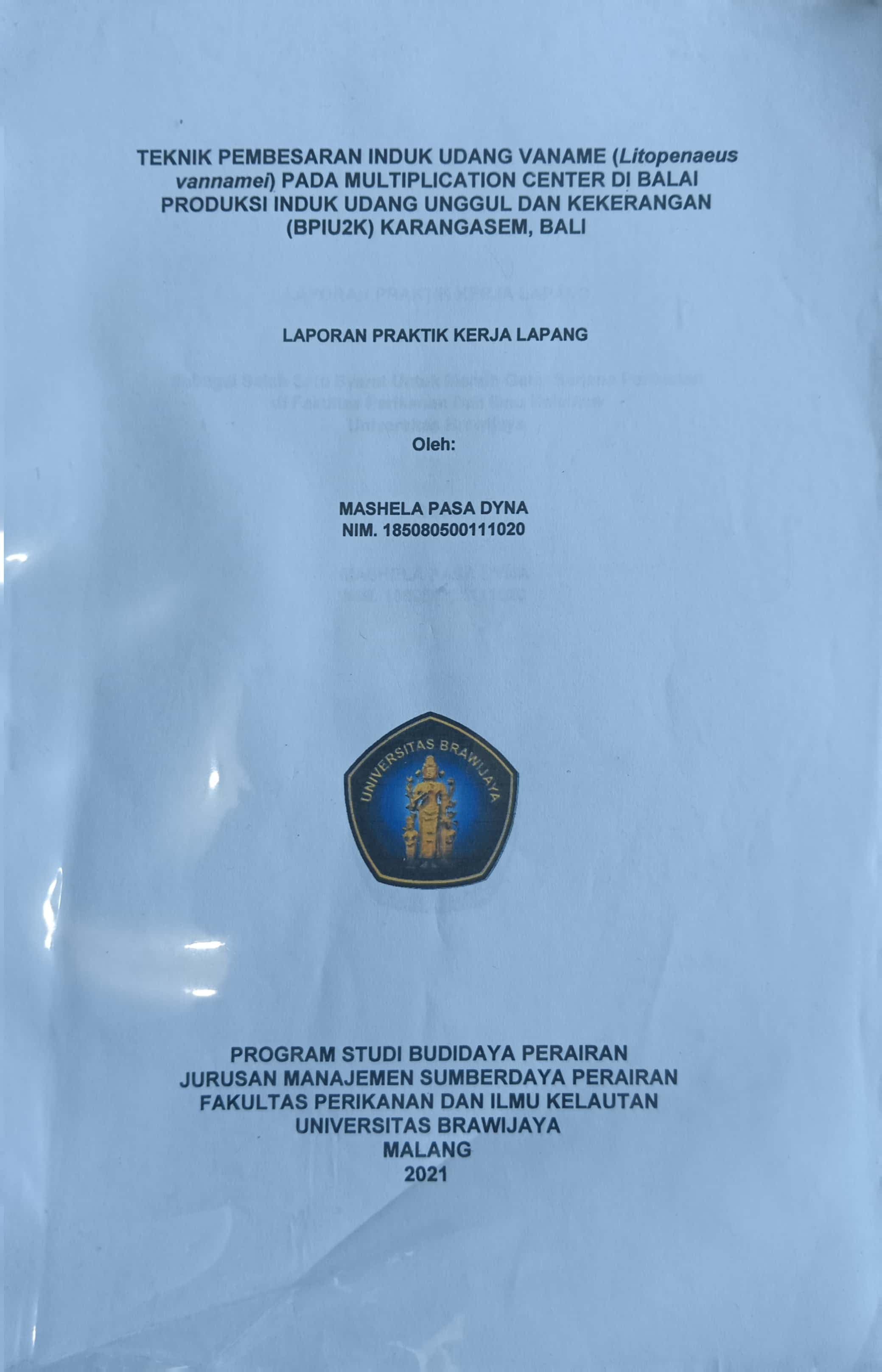 20240715011755_MASHELA.jpg