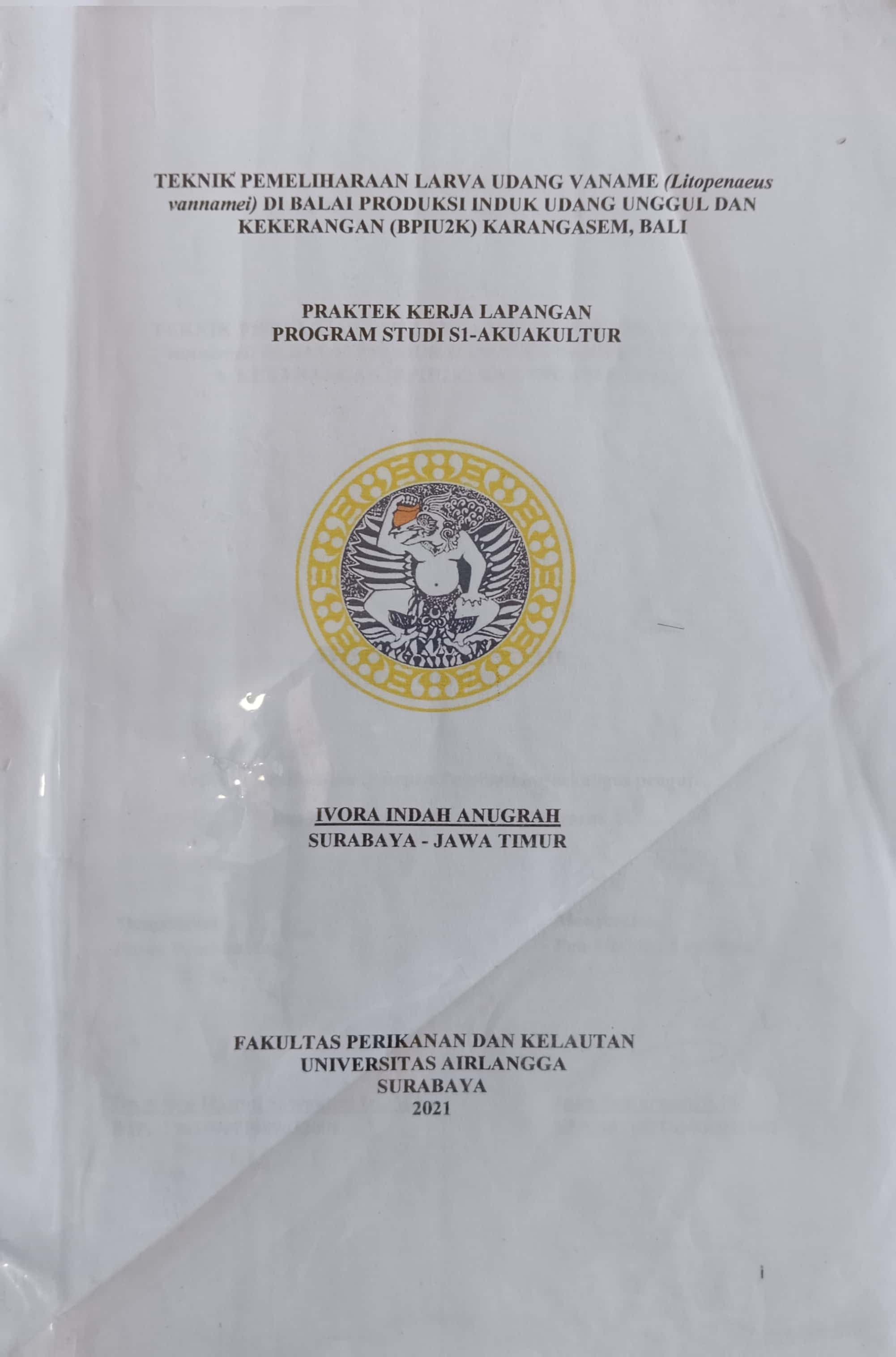 20240715020341_IVORA.jpg