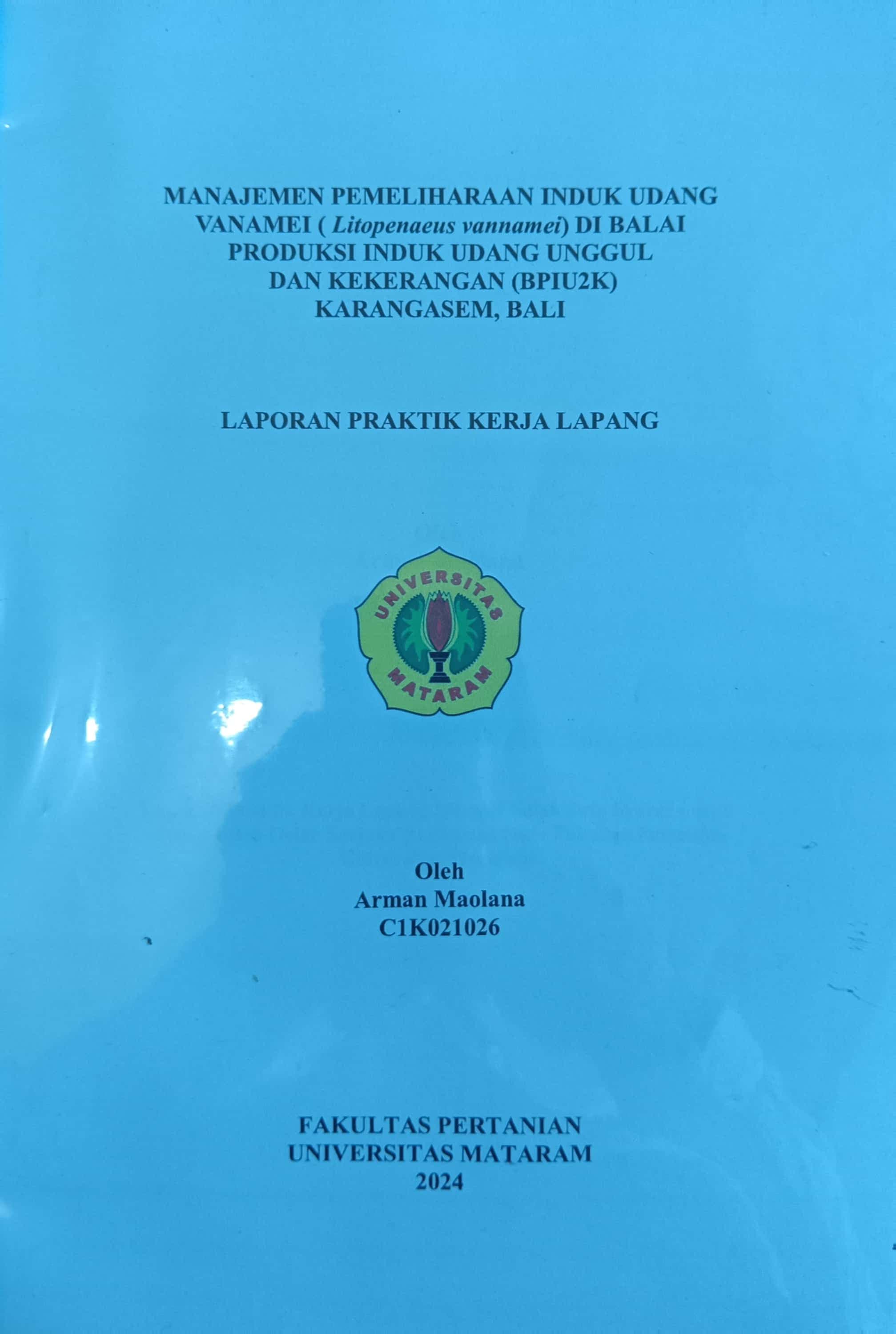 20240715234931_ARMAN.jpg