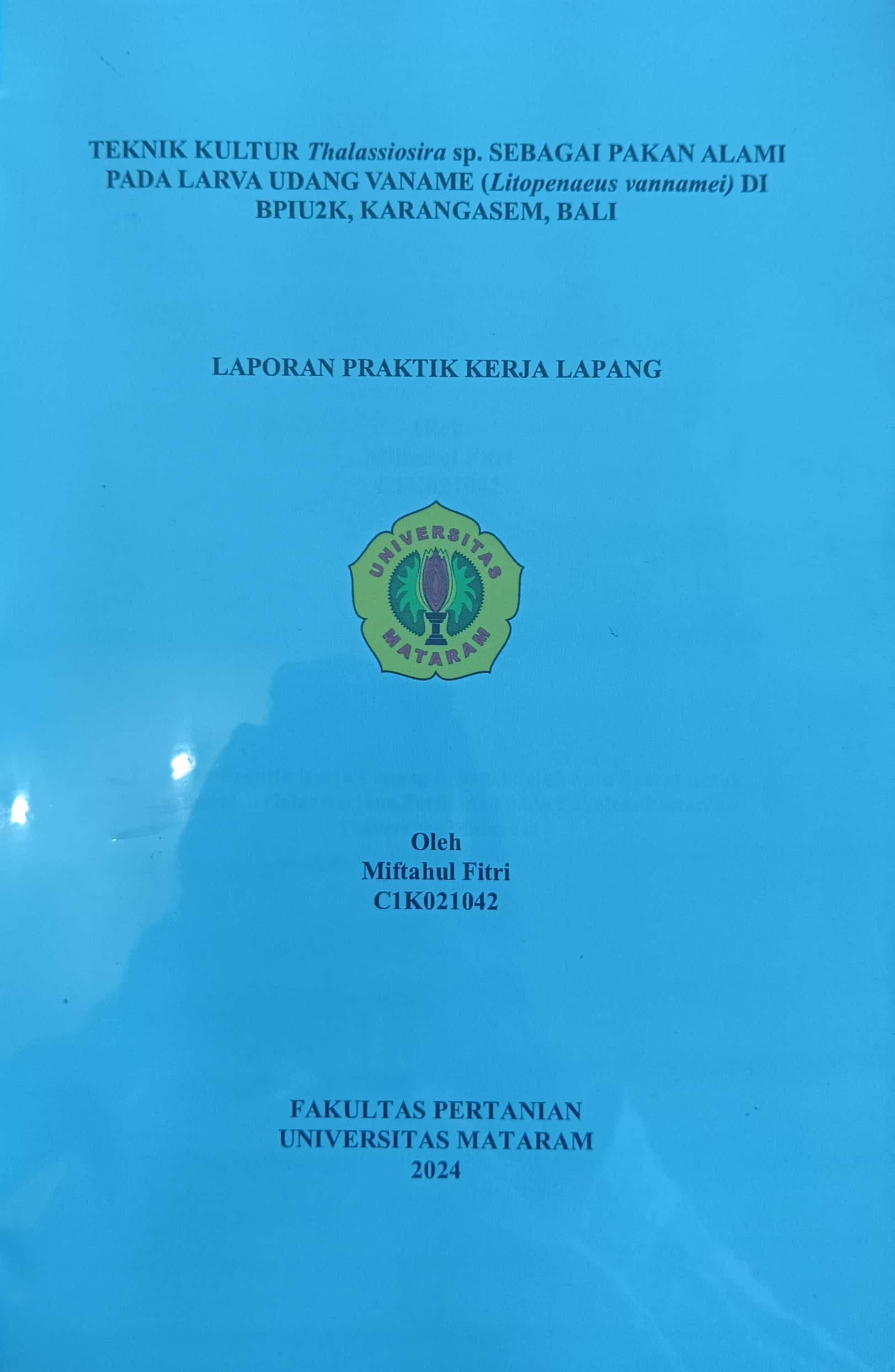 20240716001350_fitri.jpg