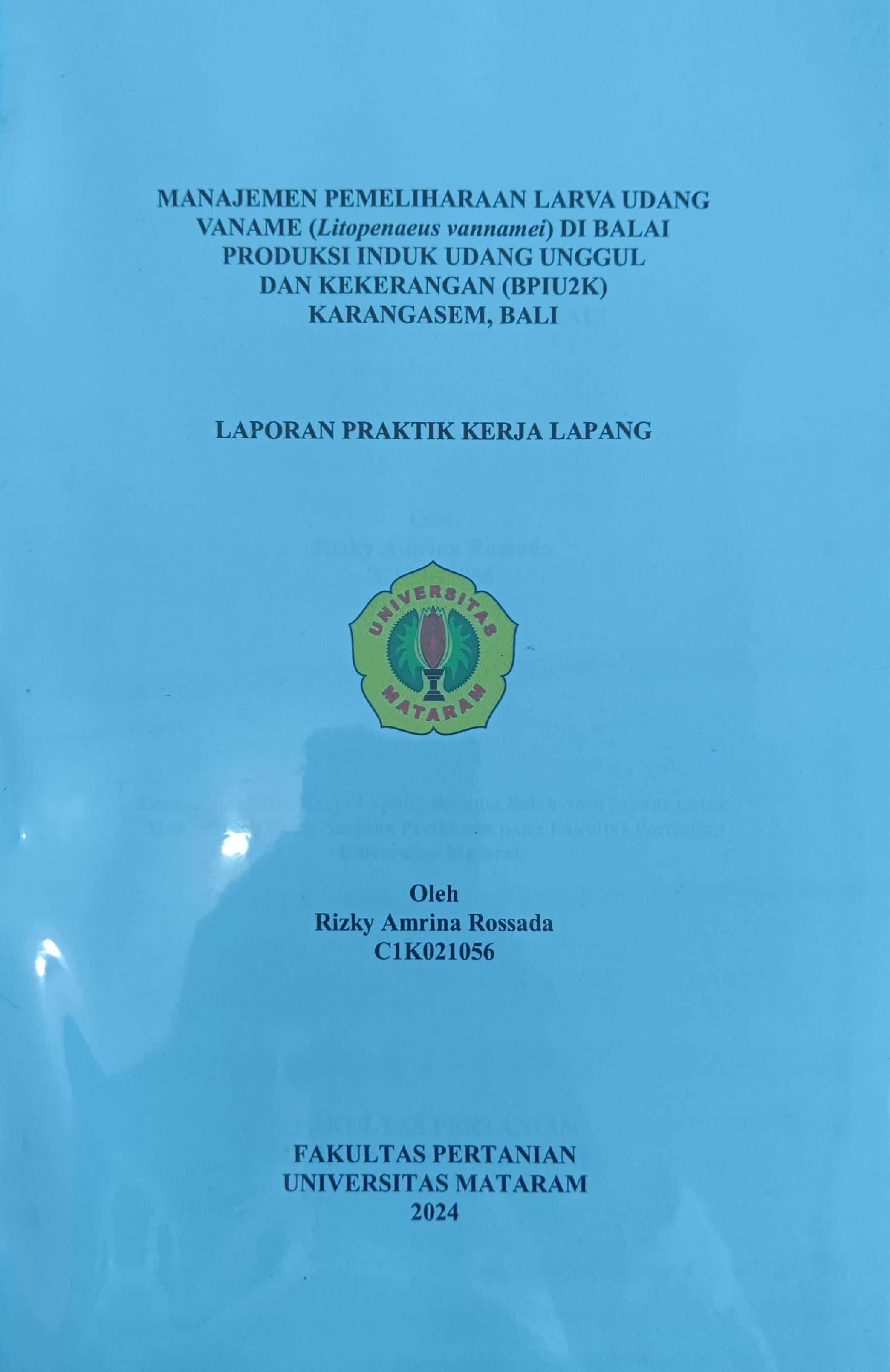 20240716003445_rizky.jpg