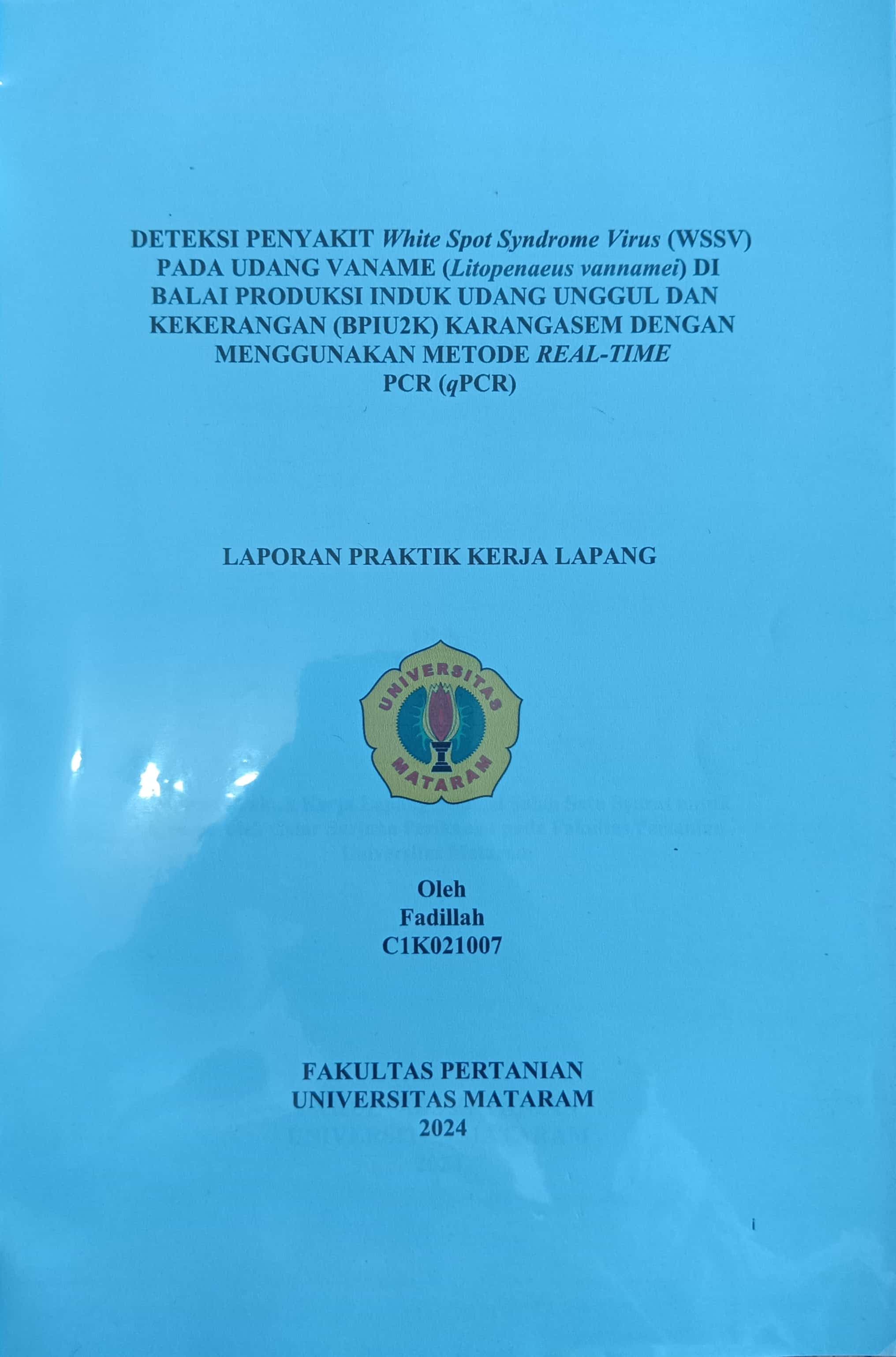 20240716004940_fadillah.jpg