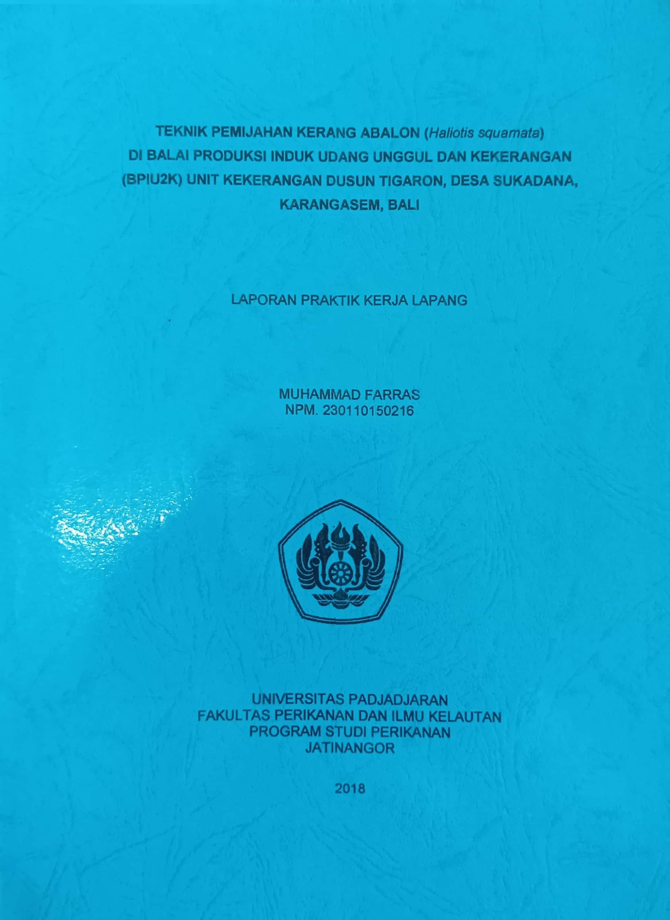20240716054039_MUHAMMAD.jpg