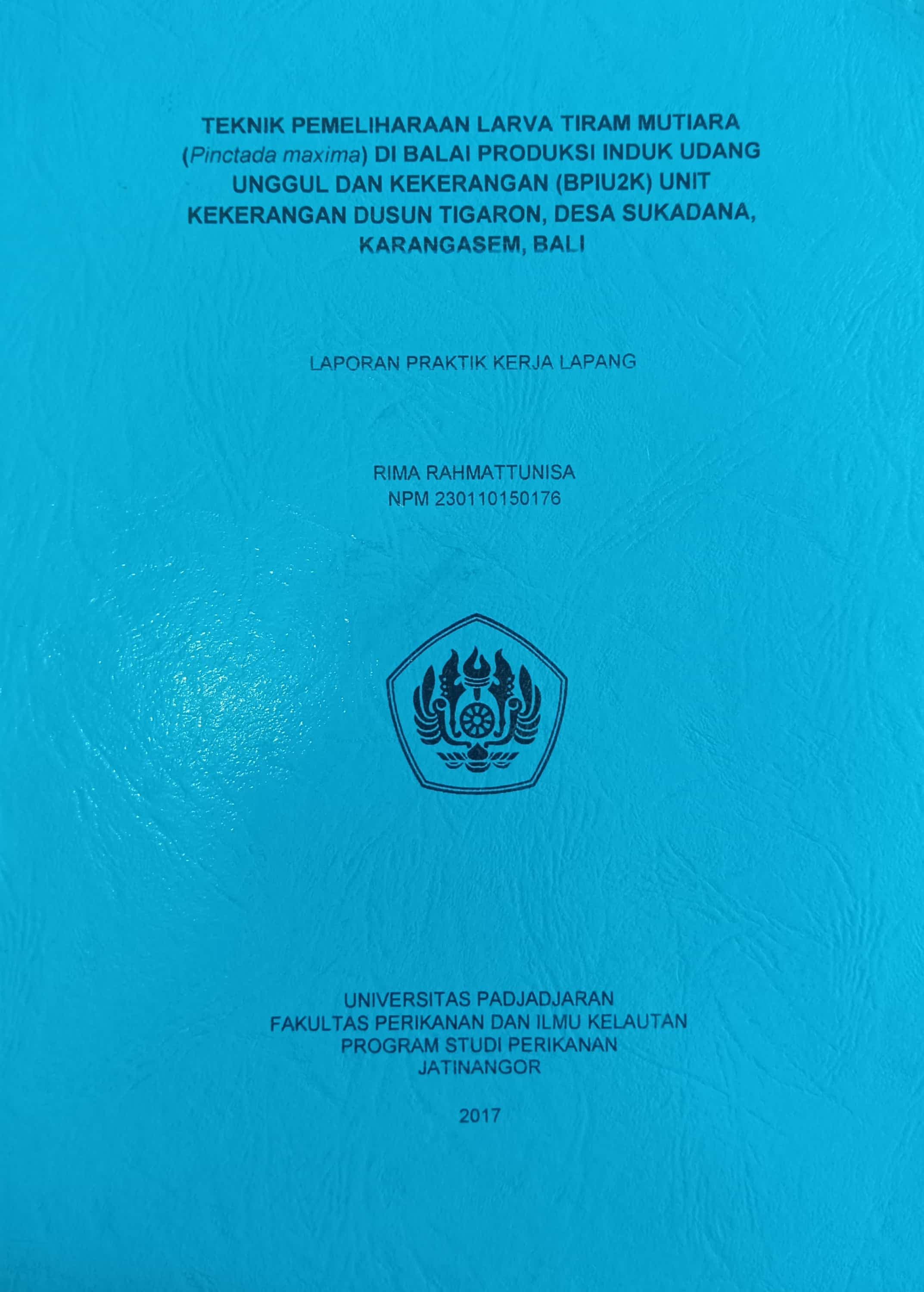 20240716055426_RIMA.jpg