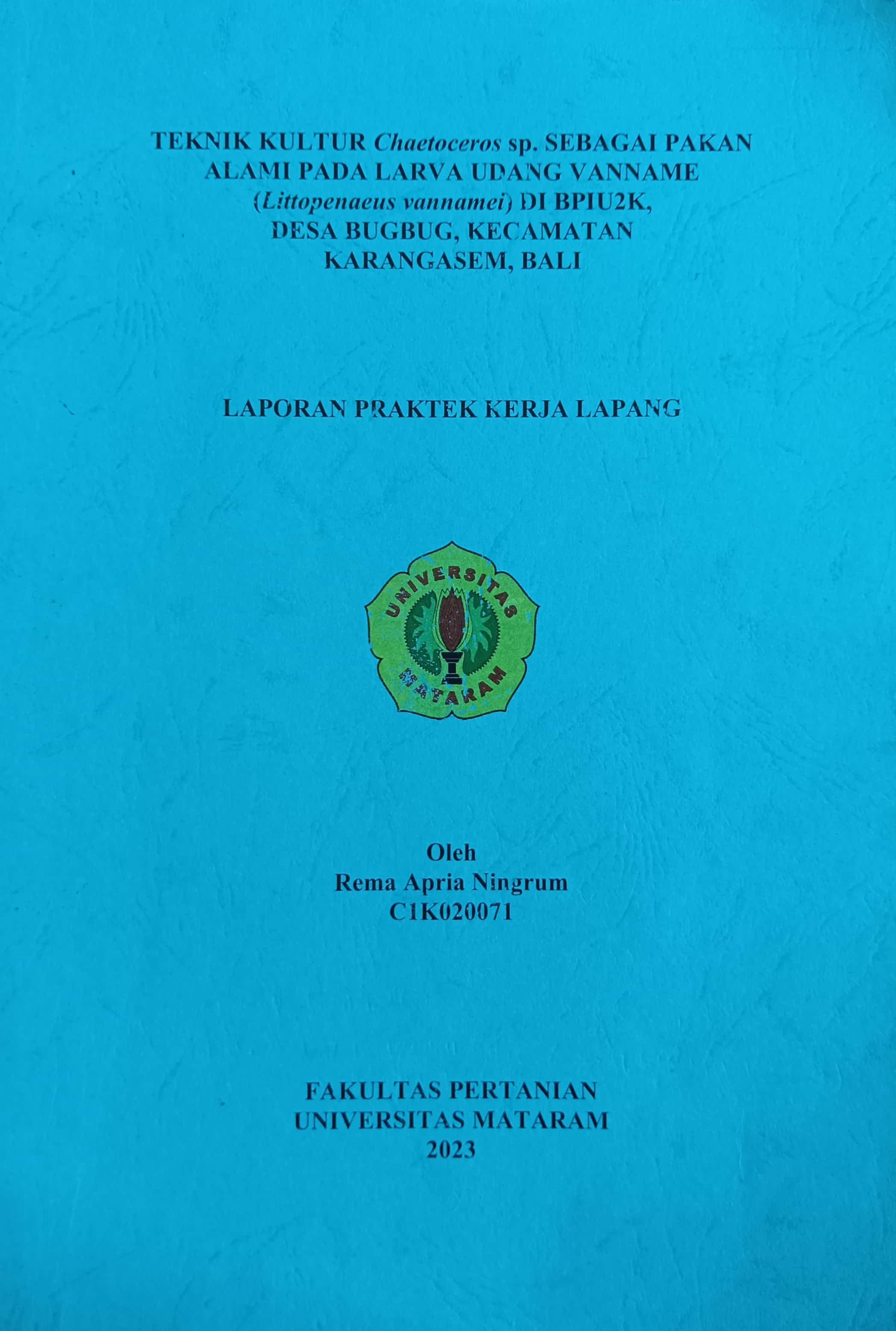 20240716055819_REMA.jpg