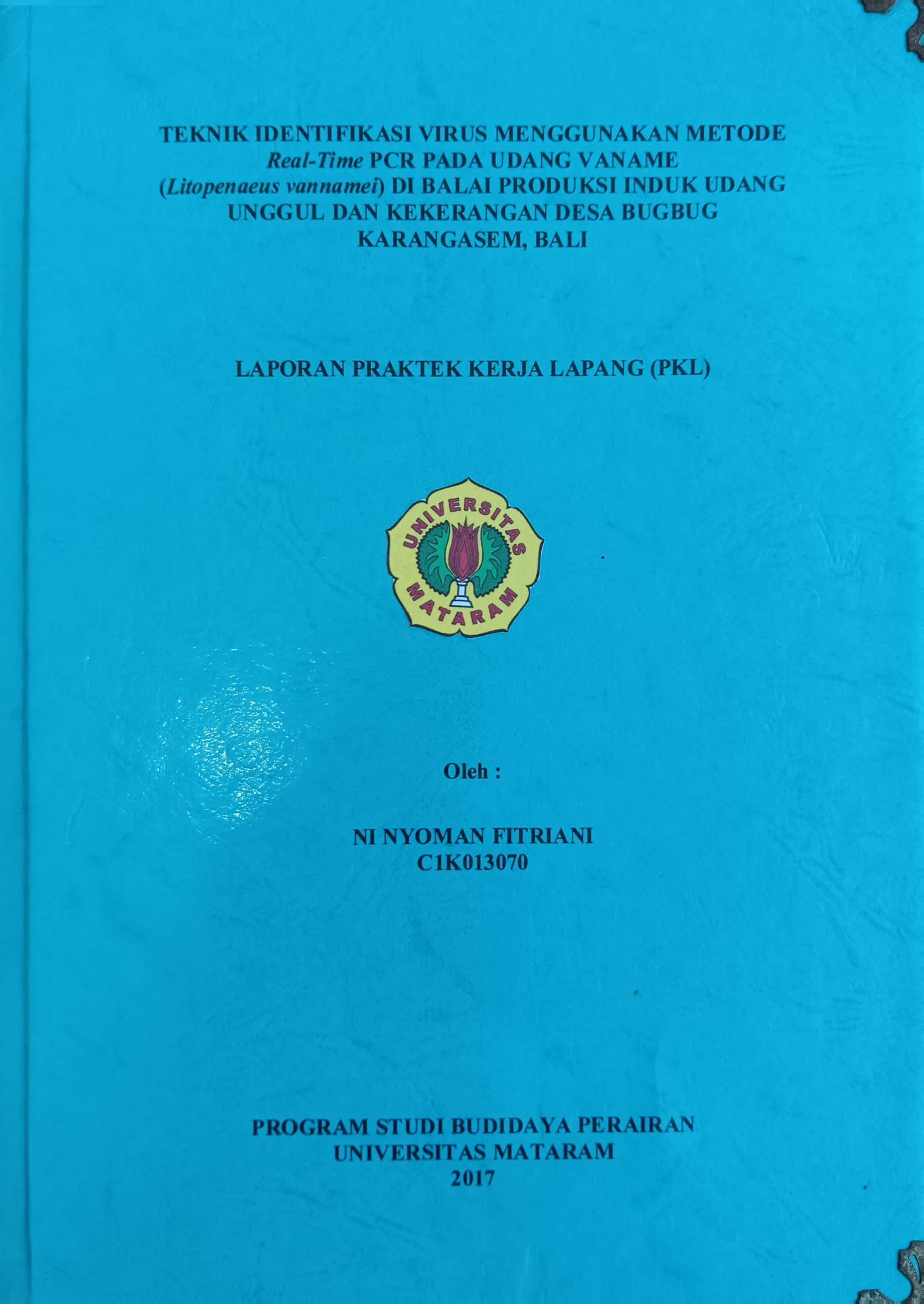 20240716061905_FITRIANI.jpg