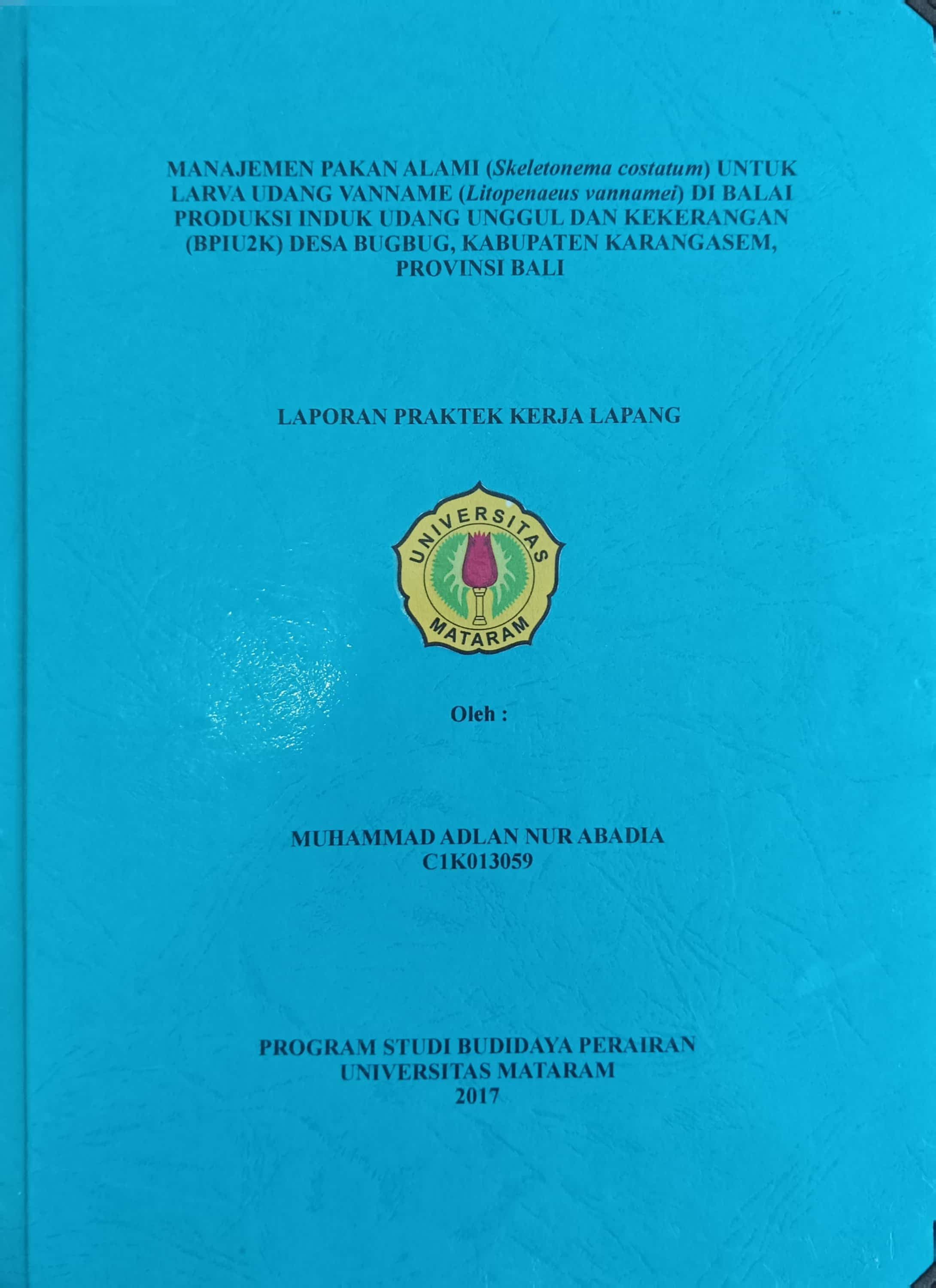 20240717005157_ADLAN.jpg