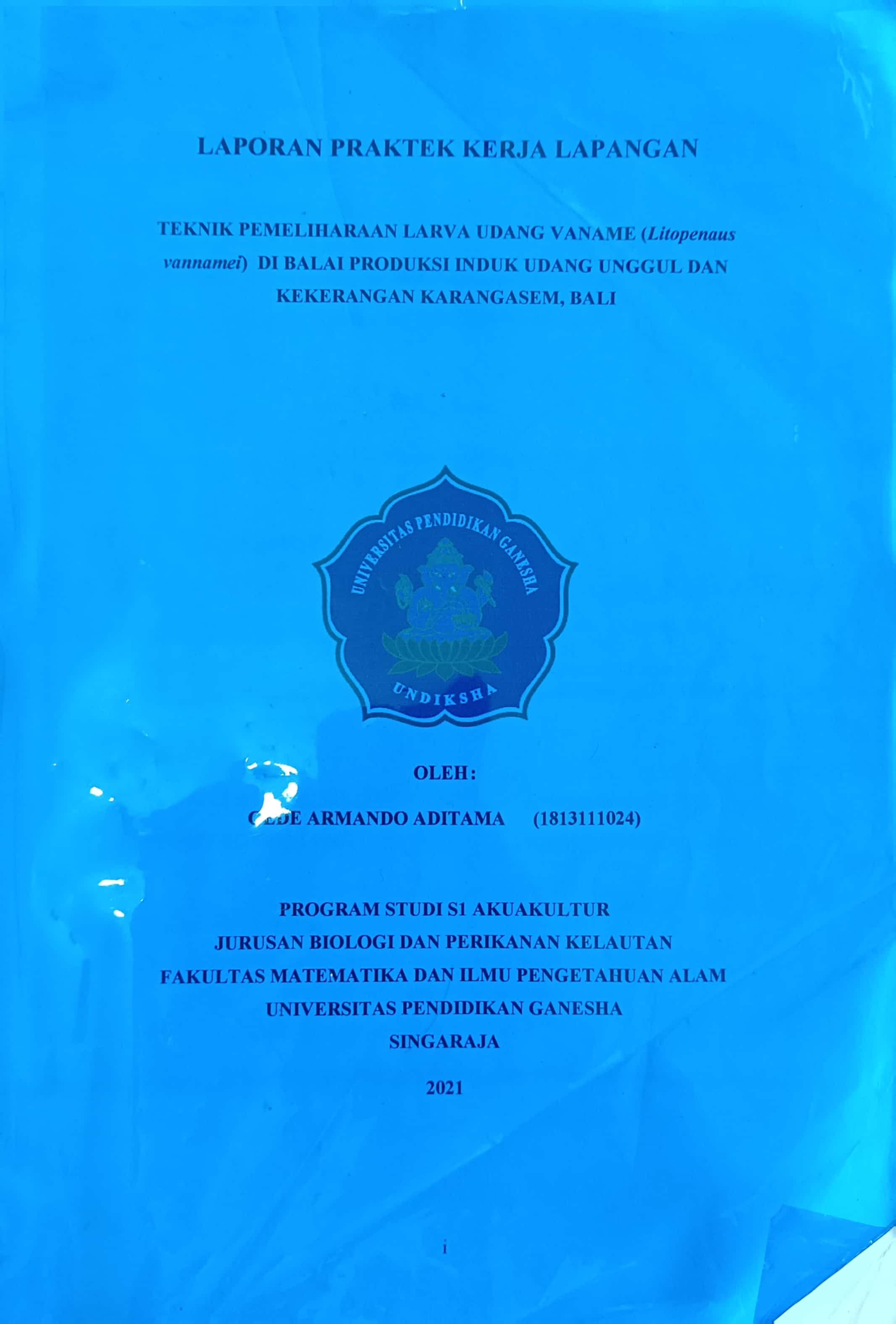20240717012105_GEDE.jpg
