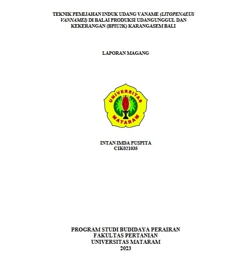20240717055958_INTAN.jpg