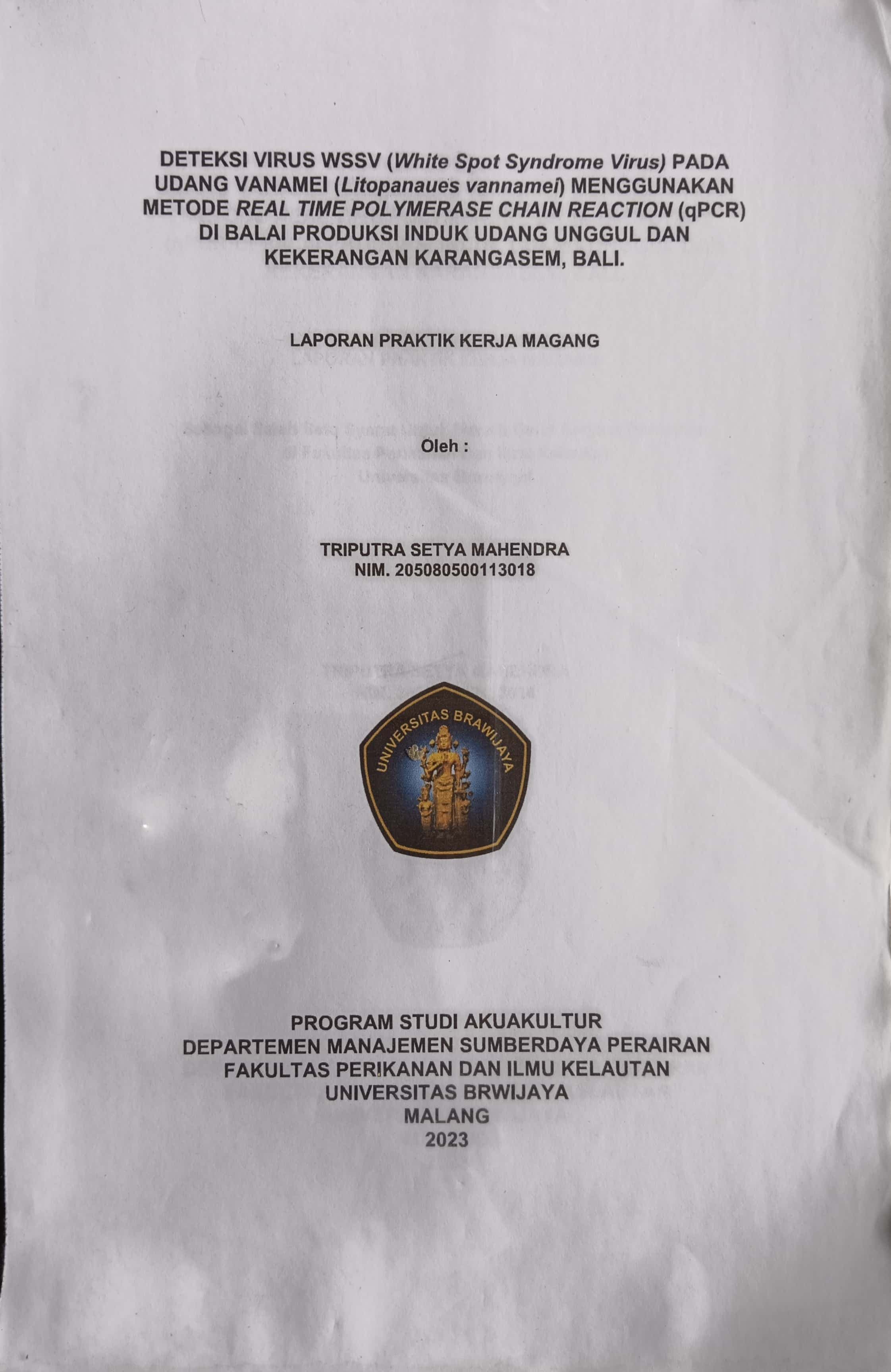 20240722022408_Triputra.jpg