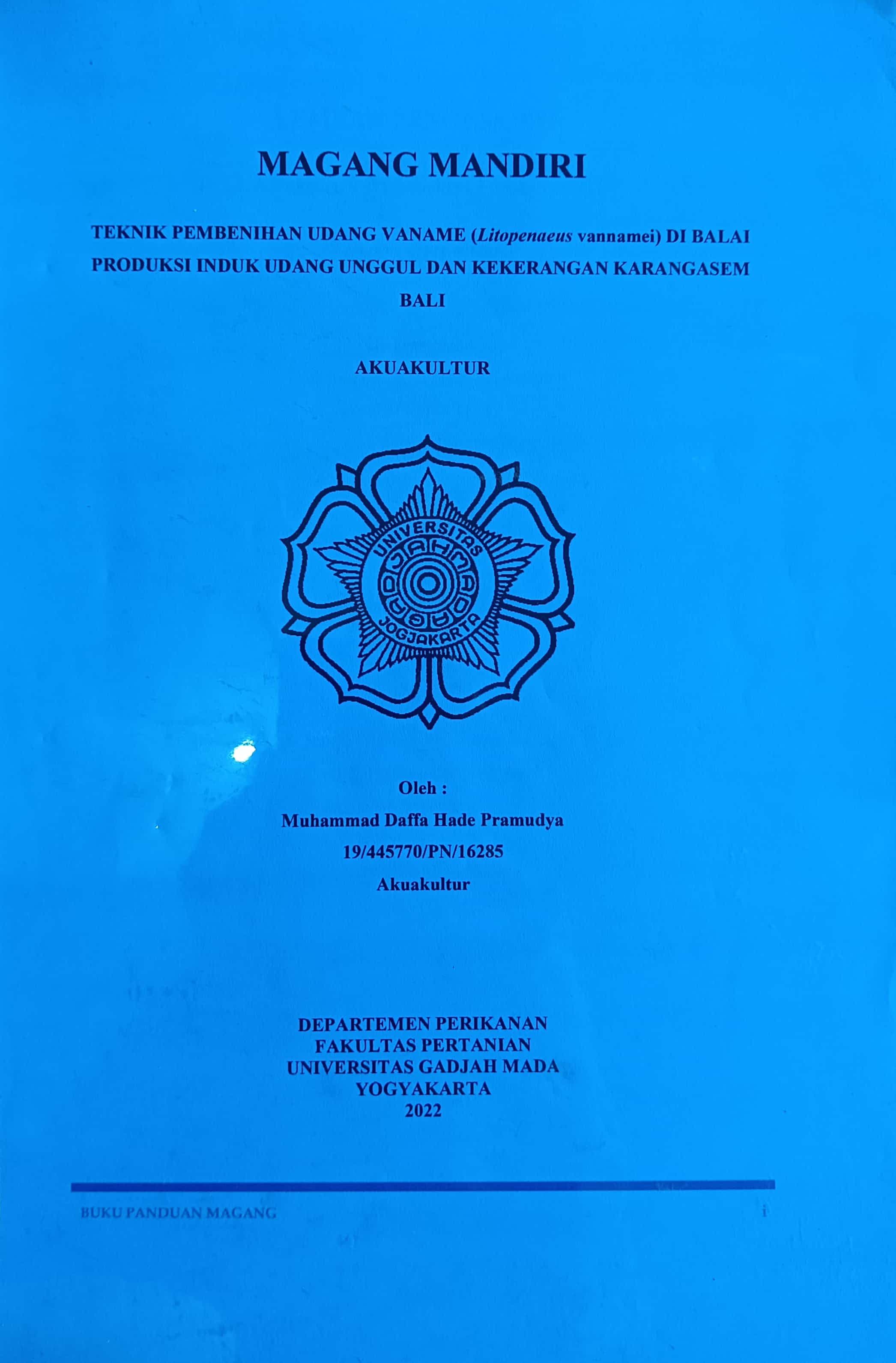 20240722023733_Muhammad.jpg