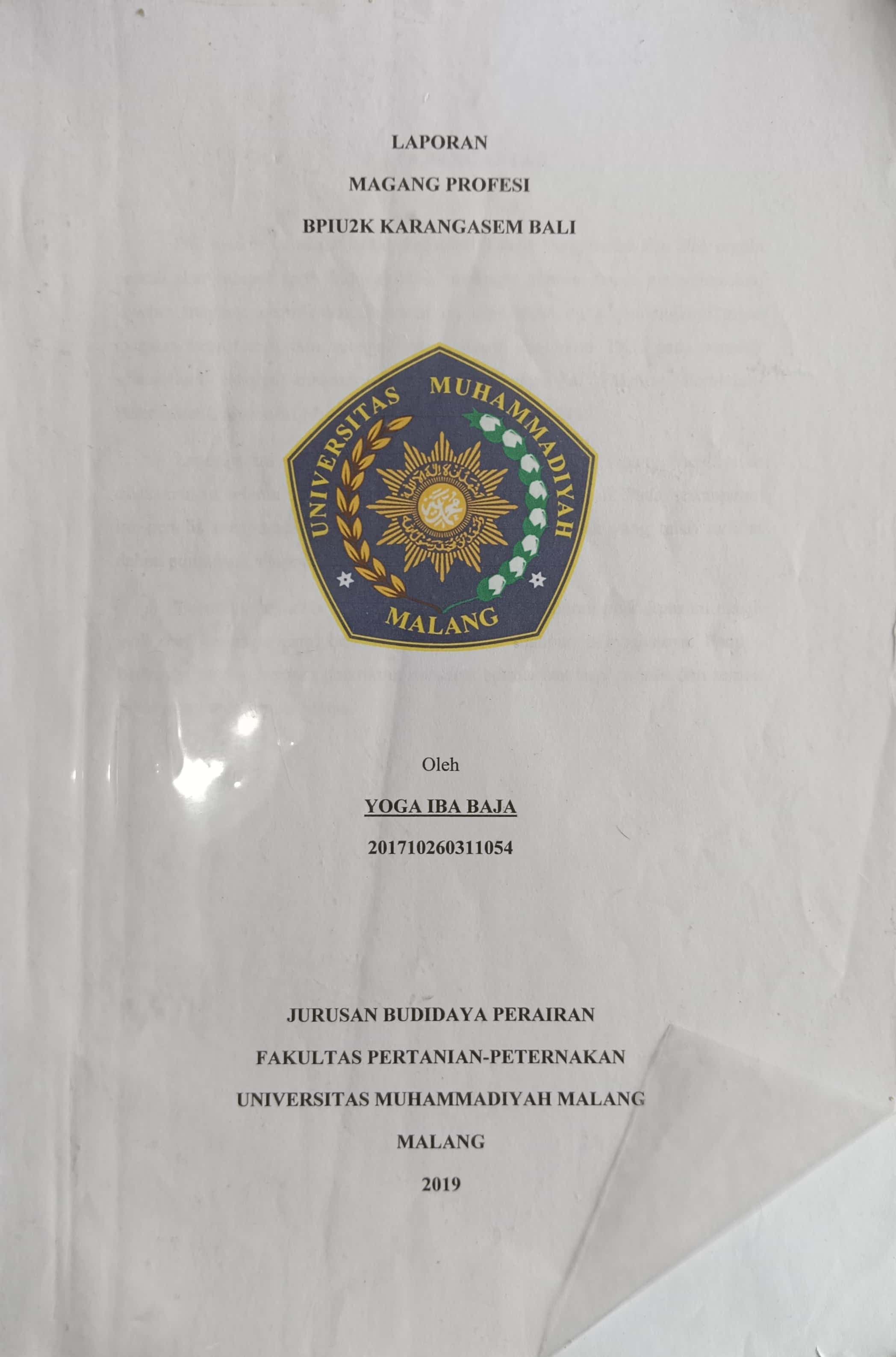 20240722023944_Yoga.jpg
