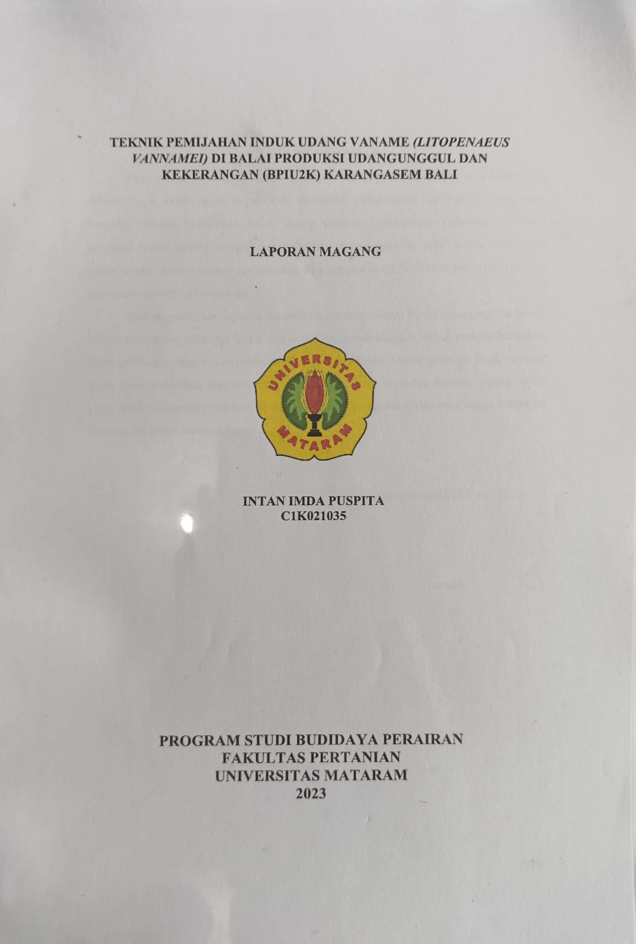 20240722024614_Intan.jpg