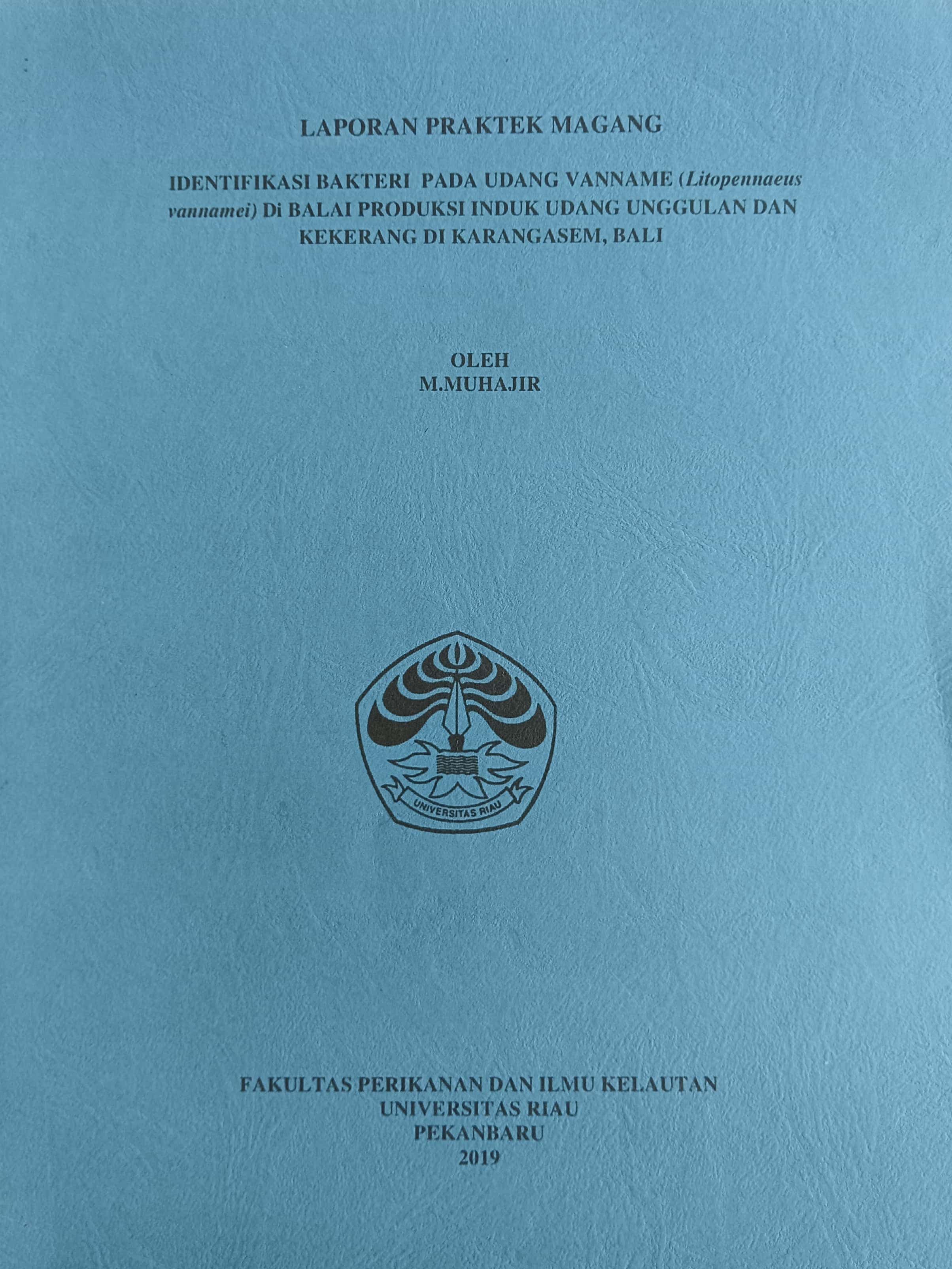 20240723000536_Muhajir.jpg