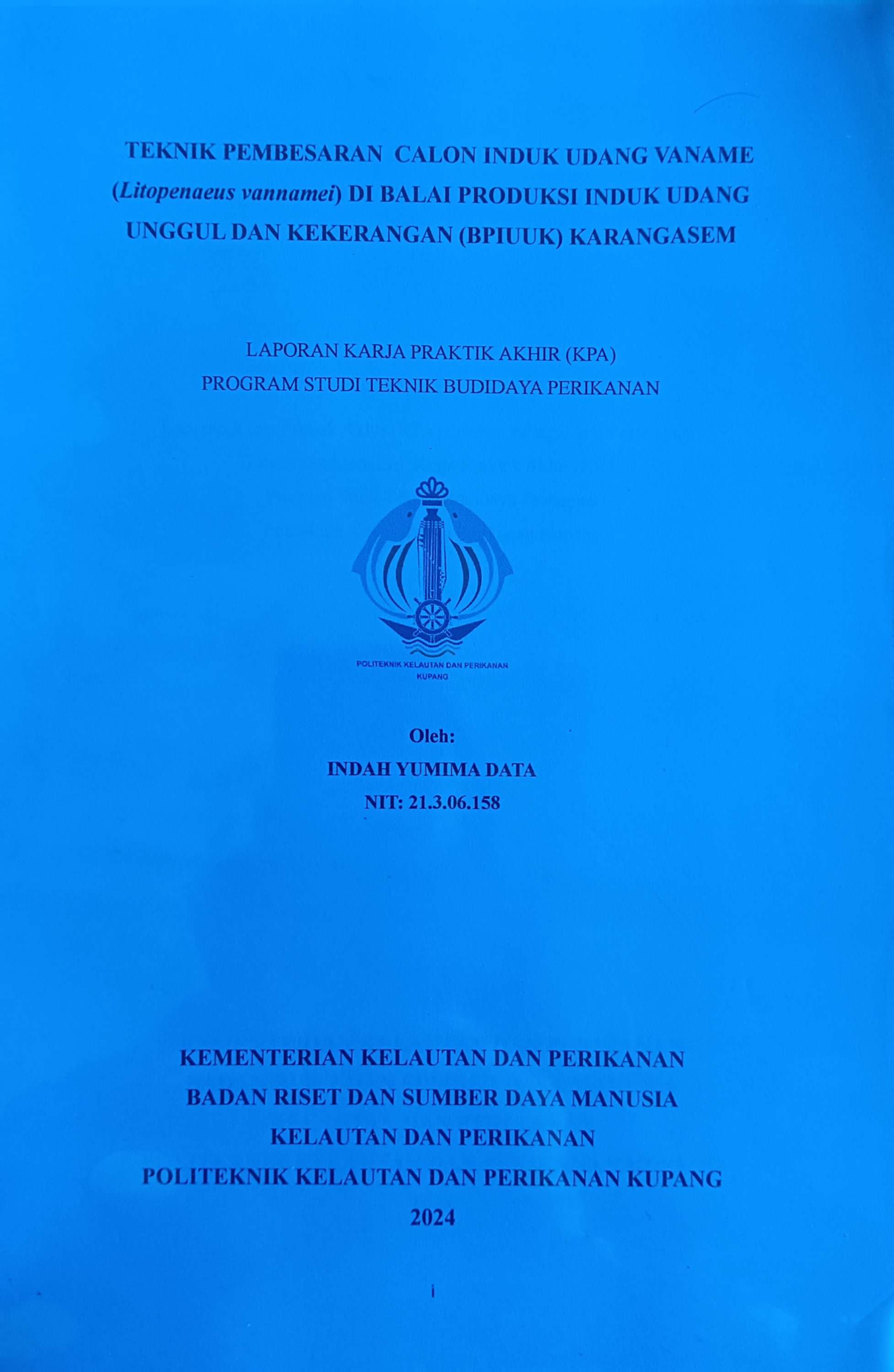 20240723010746_Indah.jpg
