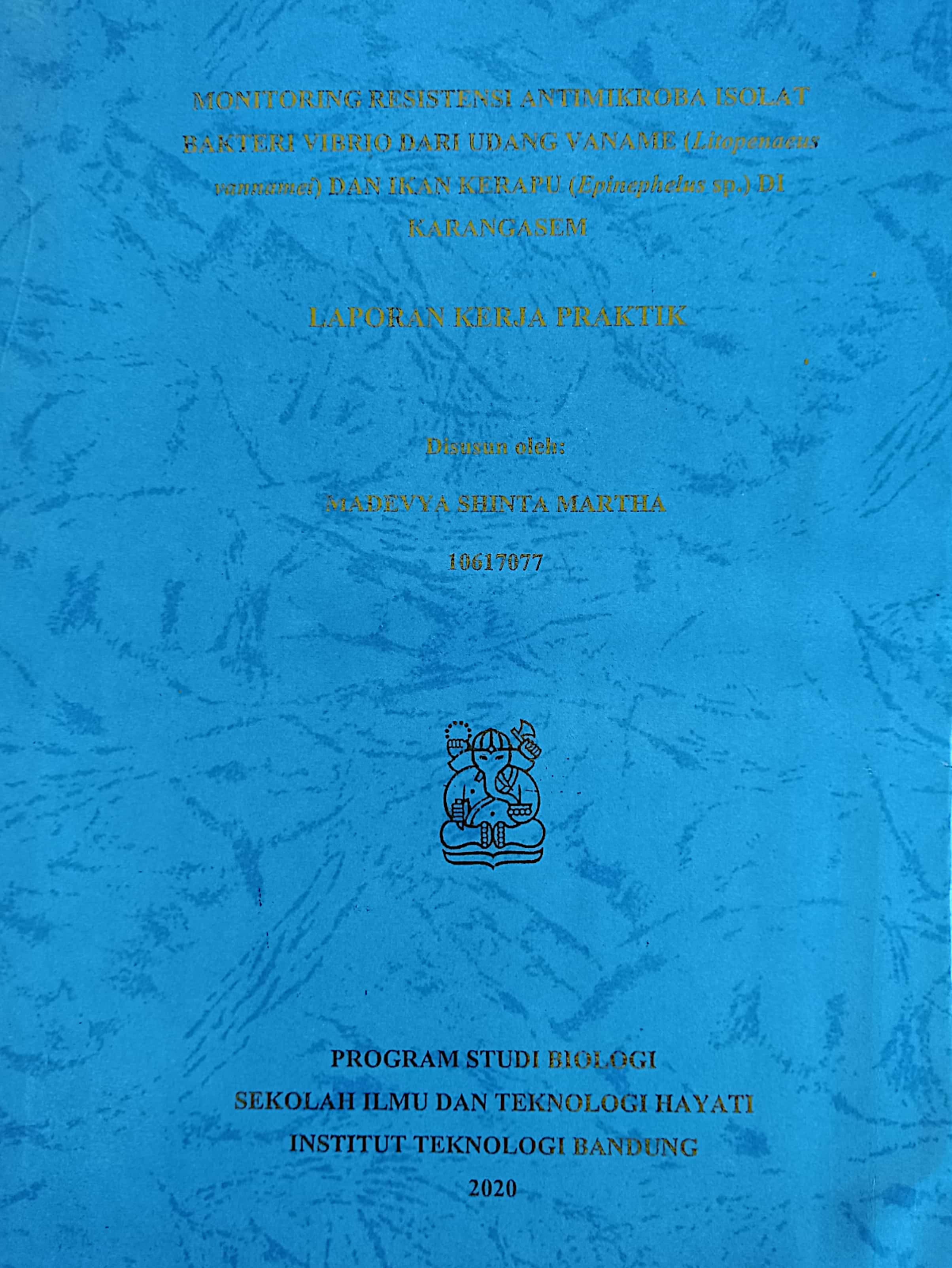 20240724002324_Madevya.jpg