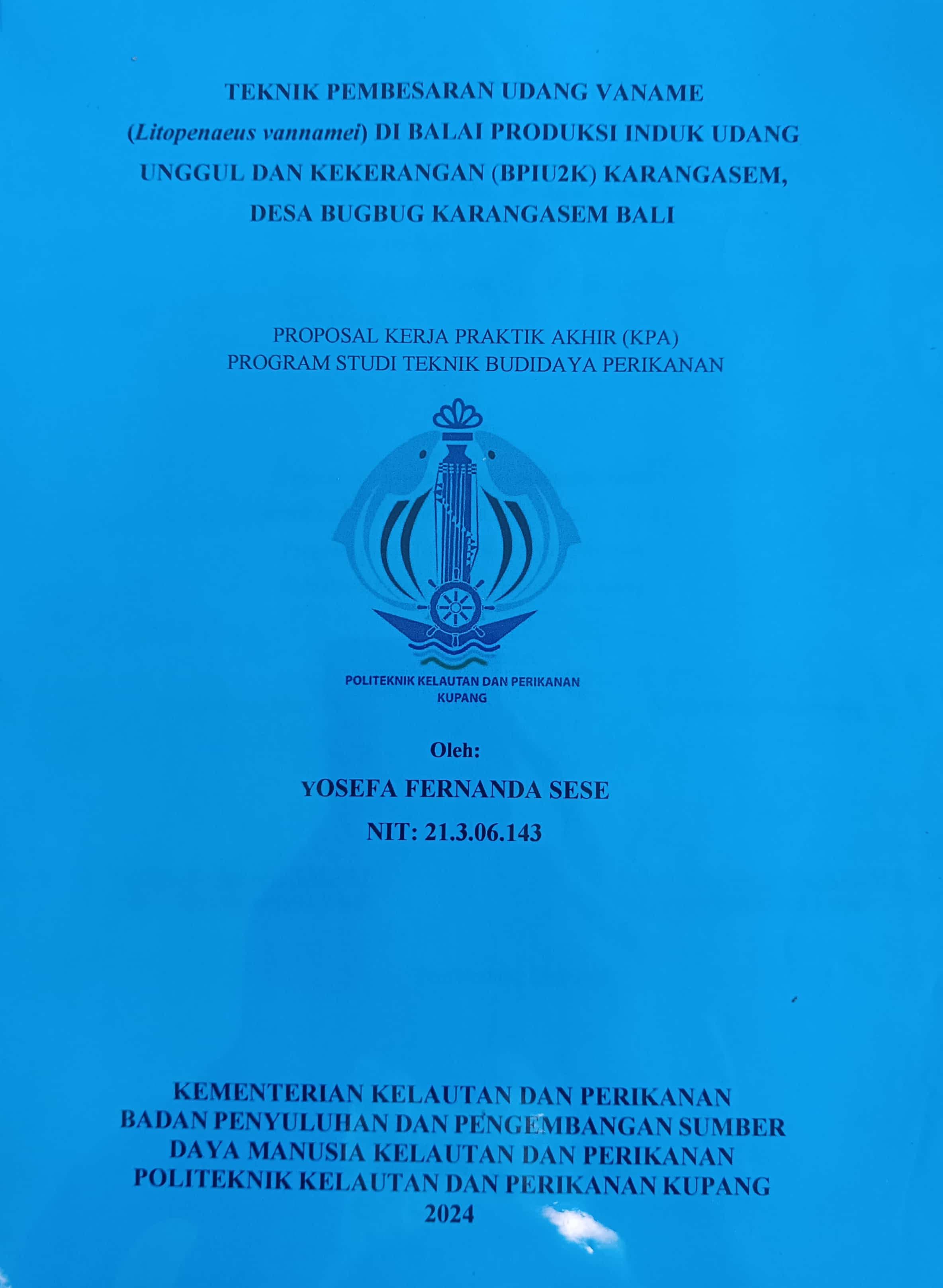 20240724003806_Yosefa.jpg