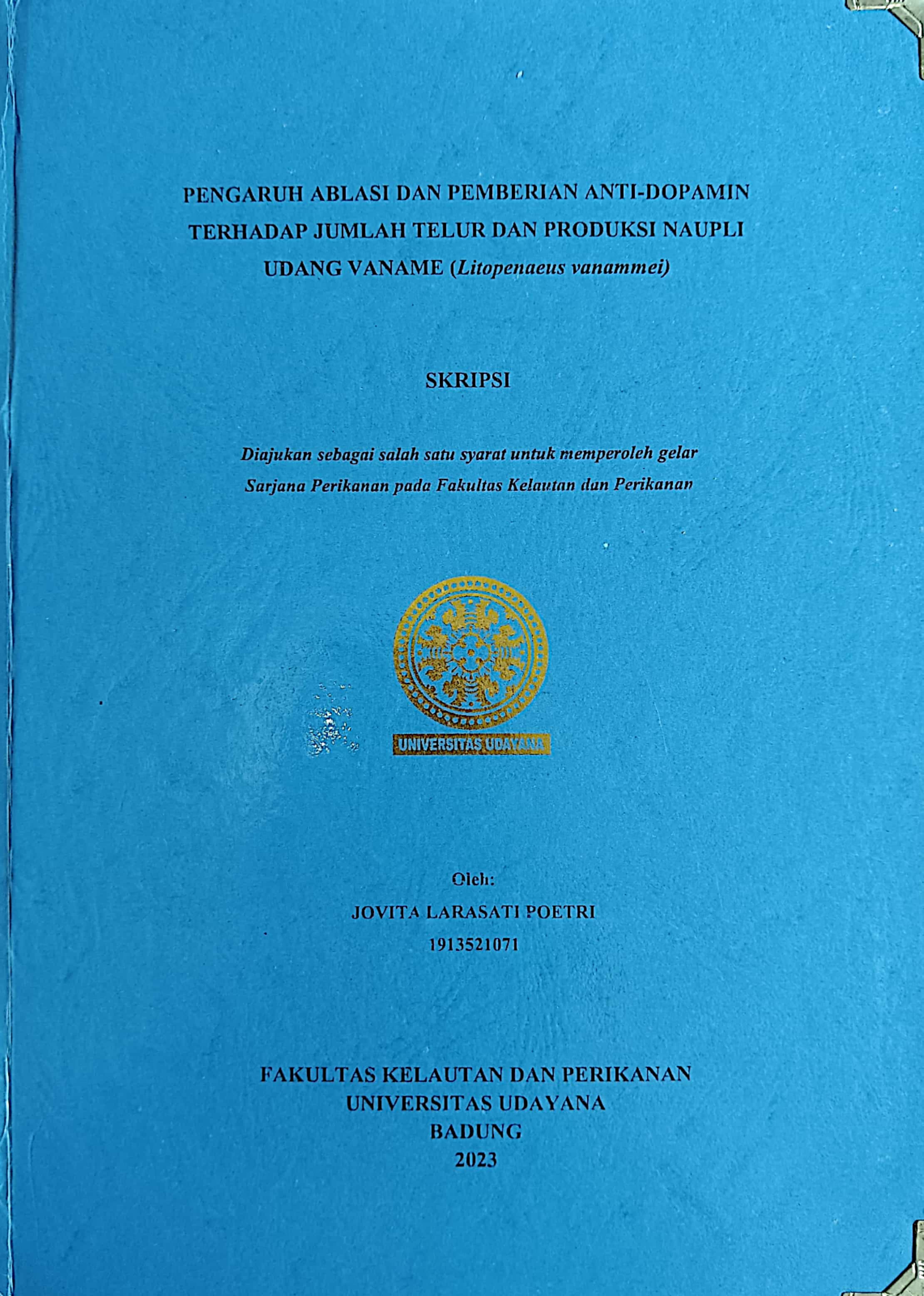 20240725012616_Jovita.jpg