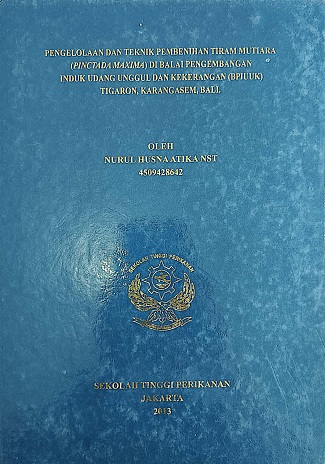 20240725051059_Nurul.jpg