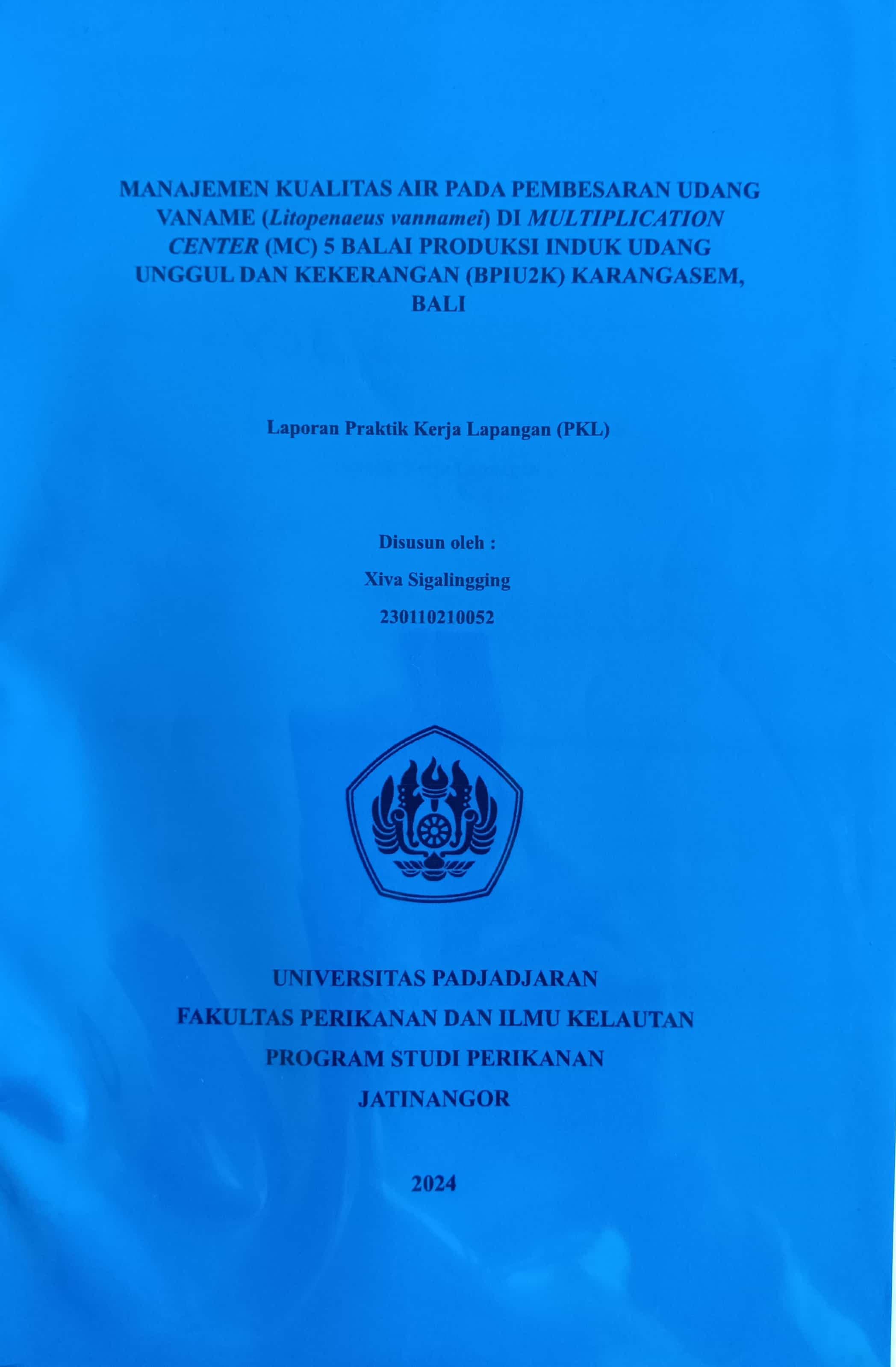 20240729070719_Xiva.jpg
