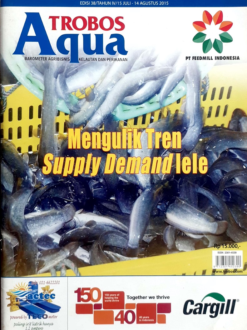 20240906034547_12.jpg